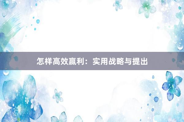 怎样高效赢利：实用战略与提出